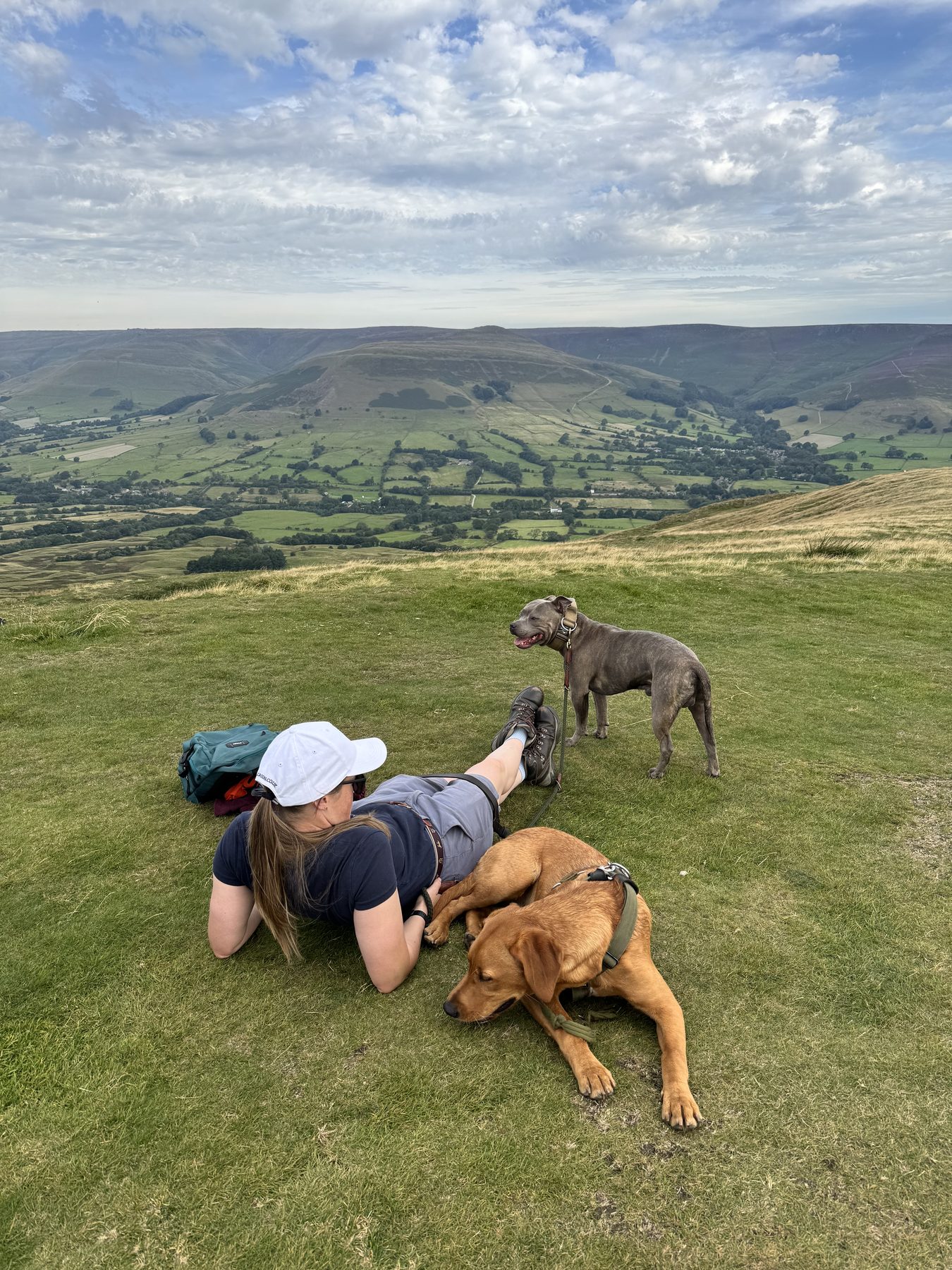 Duke and Hugo outdoors